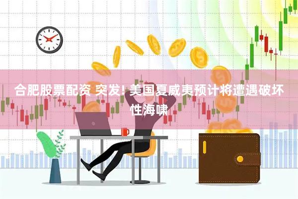 合肥股票配资 突发! 美国夏威夷预计将遭遇破坏性海啸