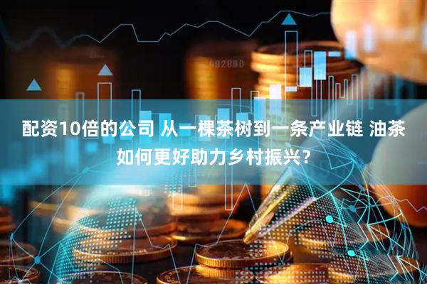 配资10倍的公司 从一棵茶树到一条产业链 油茶如何更好助力乡村振兴？