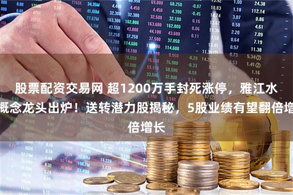股票配资交易网 超1200万手封死涨停，雅江水电概念龙头出炉！送转潜力股揭秘，5股业绩有望翻倍增长